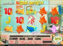 Gold Fish